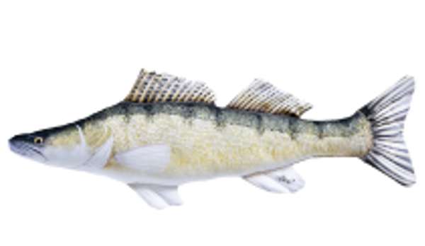 Gaby Pillows The Zander