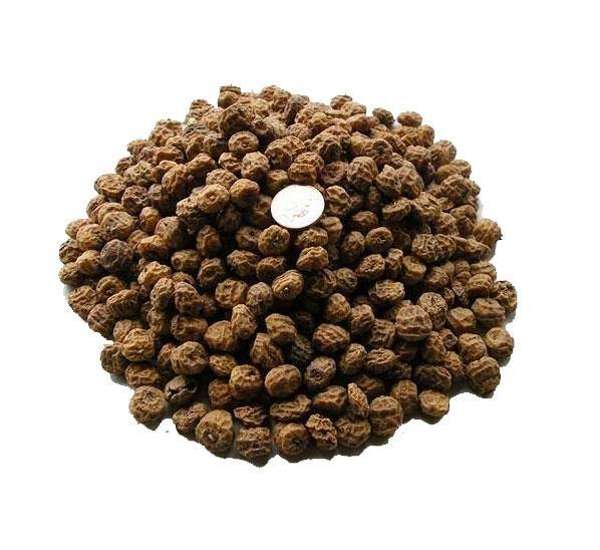 Large Tiger Nuts