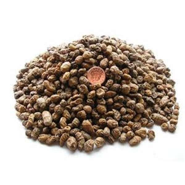 Standard Tiger Nuts