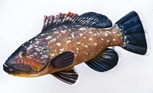 Gaby Pillows The Dusky Grouper Giant