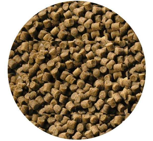 Skretting Coarse Carp Pellets