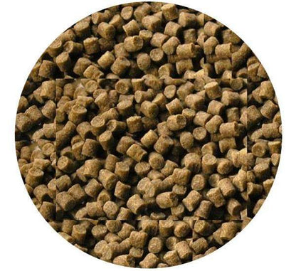 Skretting Coarse Carp Pellets