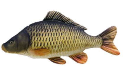 Gaby Pillows The Monster Common Carp