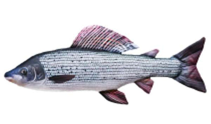 Gaby Pillows The Grayling