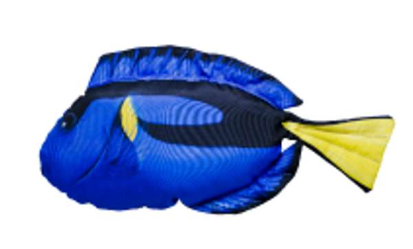 Gaby Pillows The Regal Tang Small