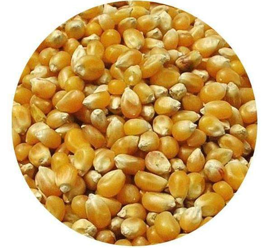 French Whole Maize 20kg