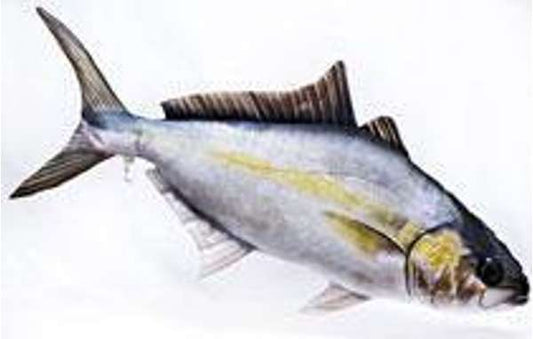 Gaby Pillows The Amberjack