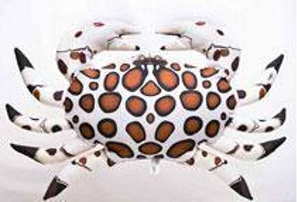 Gaby Pillows The Calico Crab
